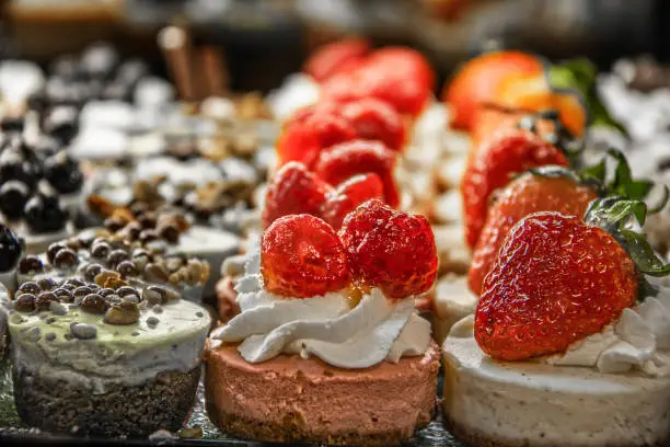 cheesecake-extravaganza
